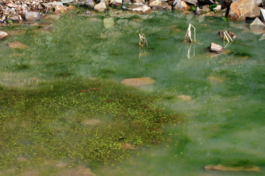 Similar image 8099410