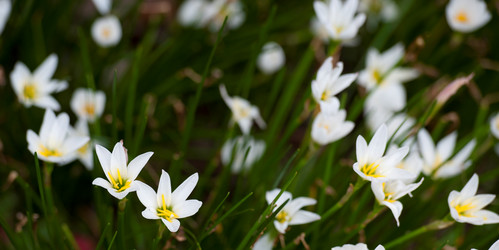 Similar image 8099414