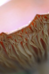 Similar image 8099417