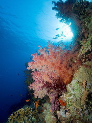 Similar image 8099422