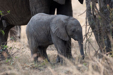 Similar image 8099426