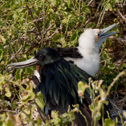 Similar image 8099427