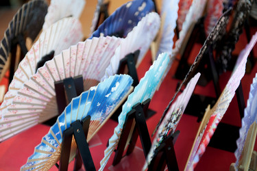 Similar image 8099428