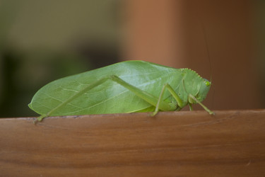 Similar image 8099441