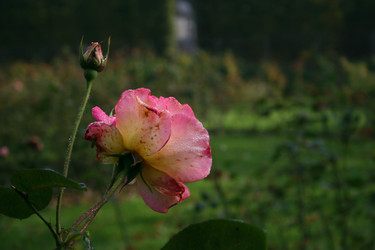 Similar image 8099442