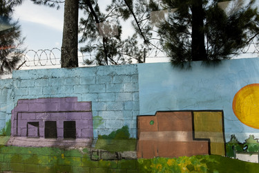 Similar image 8099443