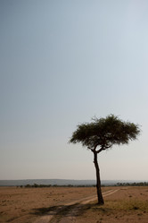 Similar image 8099446