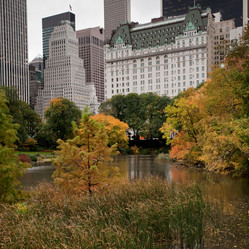 Similar image 8099447