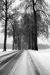 Similar image 8099453