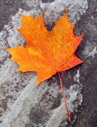 Similar image 8099457