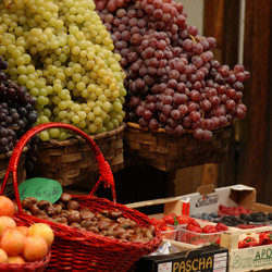 Similar image 8099466