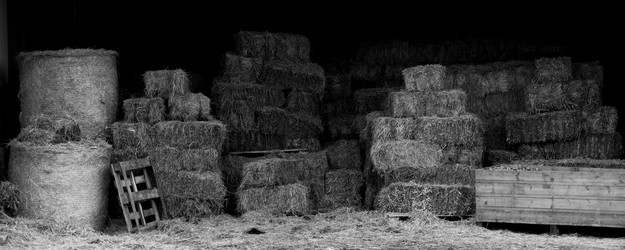 Similar image 8099469