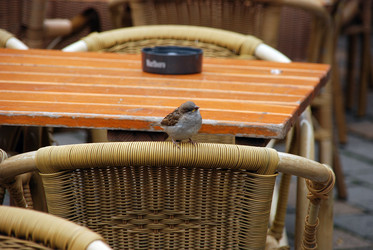 Similar image 8099470