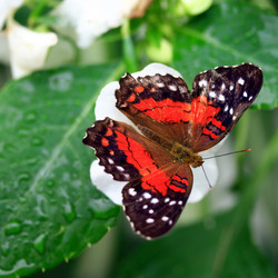 Similar image 8099476