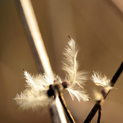 Similar image 8099488