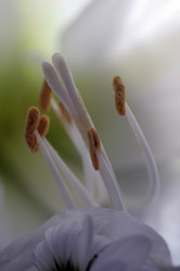 Similar image 8099492