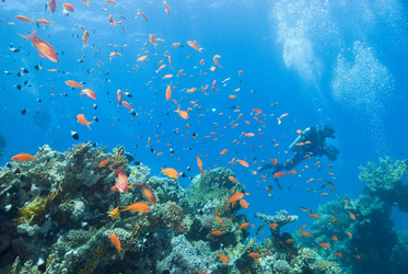 Similar image 8099493