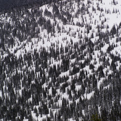 Similar image 8099498