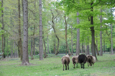 Similar image 8099516