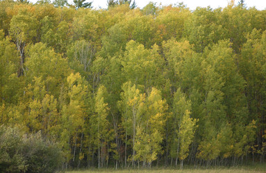 Similar image 8099519