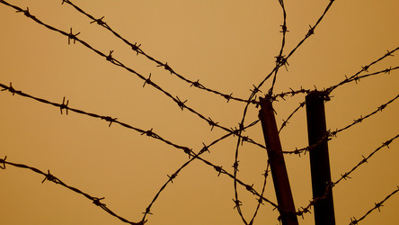 Similar image 8099526