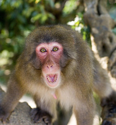 Similar image 8099530