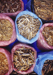 Similar image 8099534