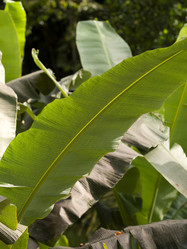 Similar image 8099554