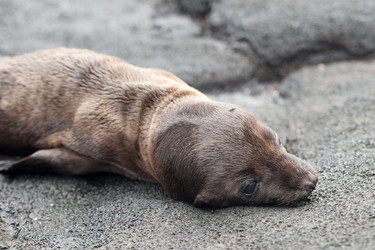 Similar image 8099563