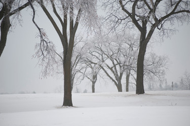 Similar image 8099569