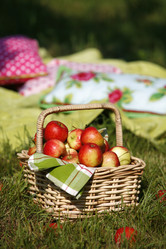 Similar image 8099579