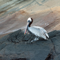 Similar image 8099580