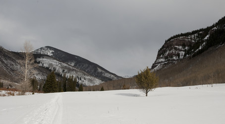 Similar image 8099589