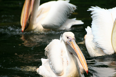 Similar image 8099597