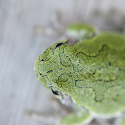 Similar image 8099602