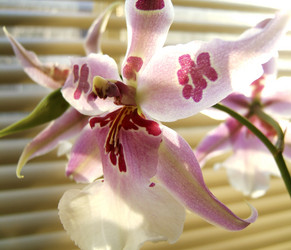 Similar image 8099607