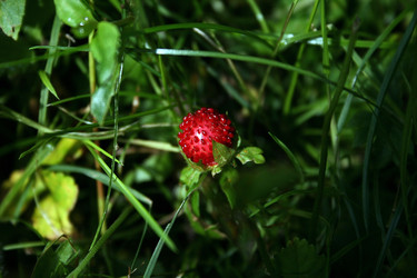 Similar image 8099612