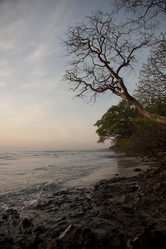 Similar image 8099622