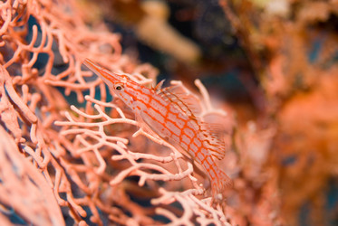 Similar image 8099633