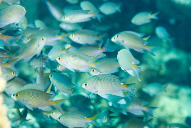 Similar image 8099643