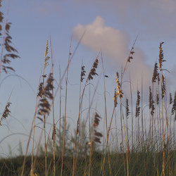 Similar image 8099644