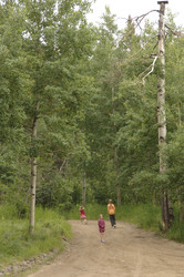 Similar image 8099652