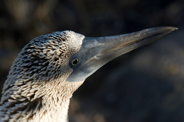 Similar image 8099667