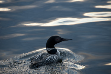 Similar image 8099670