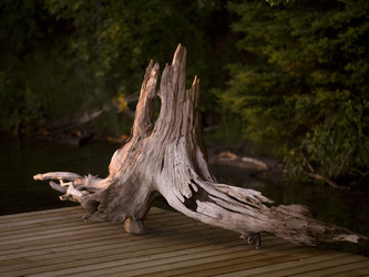 Similar image 8099671