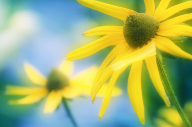 Similar image 8099673