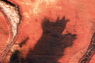 Similar image 8099680