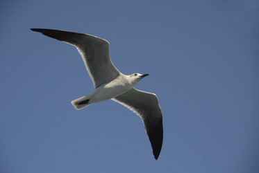 Similar image 8099685