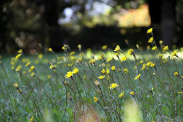 Similar image 8099686