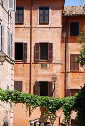 Similar image 8099706